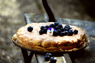 蛋糕,蓝莓馅饼,蓝莓,吃,烤,水果,饼图,浆果,结霜,釉,糕点,营养,美味,食品,受益,糖